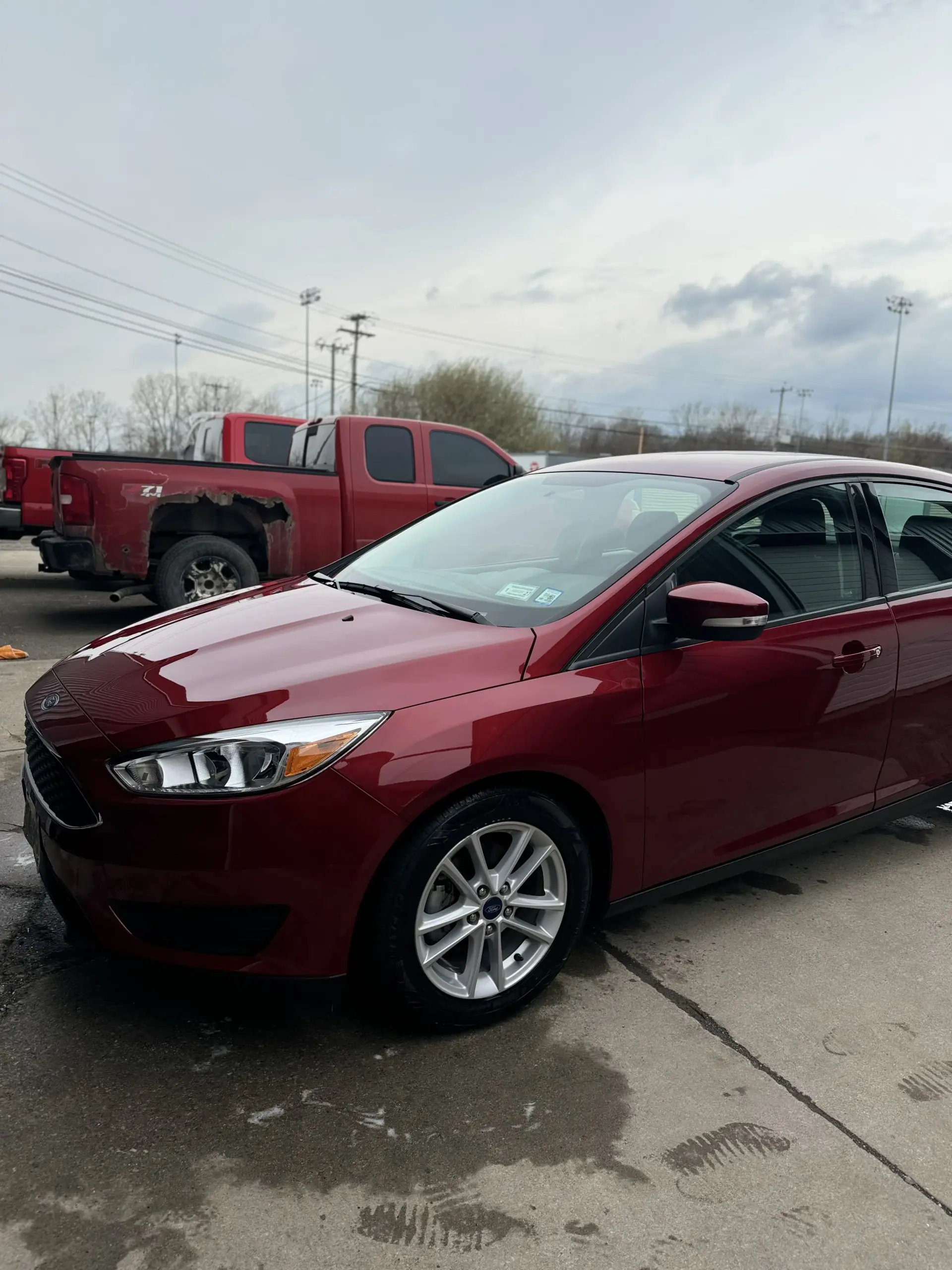 Paint correction results showcasing mirror finish